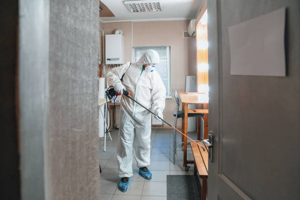 Best Mold Removal for HVAC Installations  in Commerce, GA