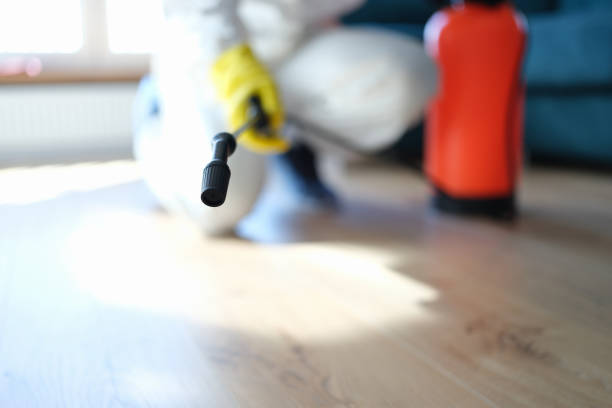 Best Indoor Air Quality Assessment  in Commerce, GA