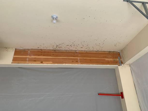 Best Air Quality Testing for Mold Spores  in Commerce, GA
